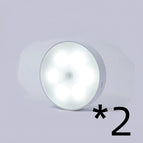 2pcs White light