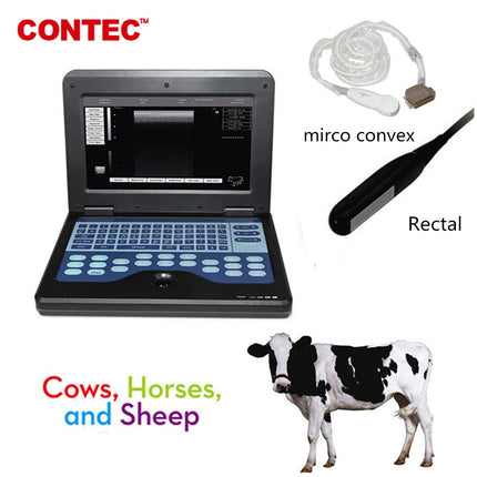 CMS600P2VET Veterinary Laptop Ultrasound Scanner With Horse And Cow Probes