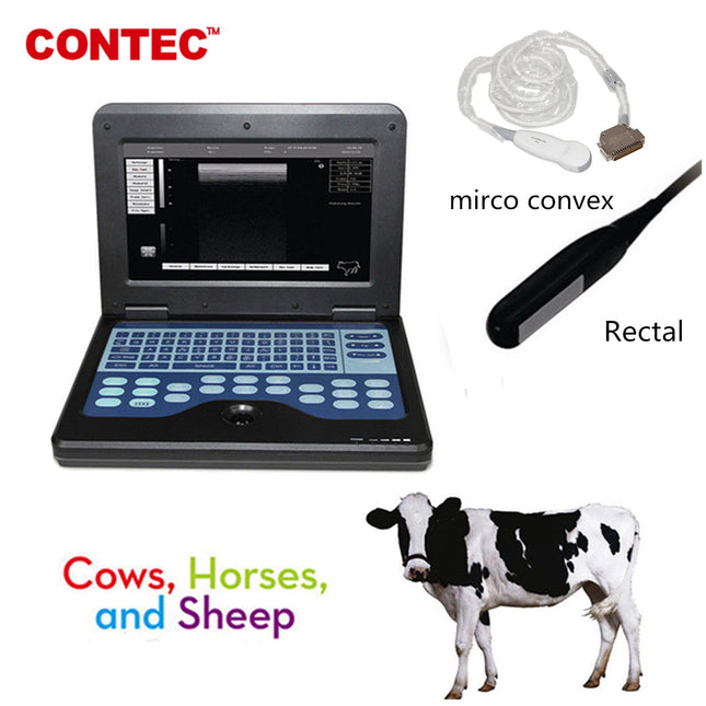 CMS600P2VET Veterinary Laptop Ultrasound Scanner With Horse And Cow Probes