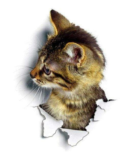 Exquisite 3D Cat Wall Decor Stickers: Elevate Your Home Aesthetics