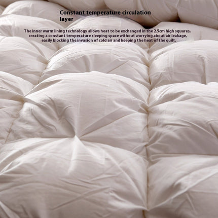 Peekaboo Studio Twisted Cotton Goose Down Duvet Insert - Thick & Warm