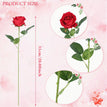 Red / 1PCS