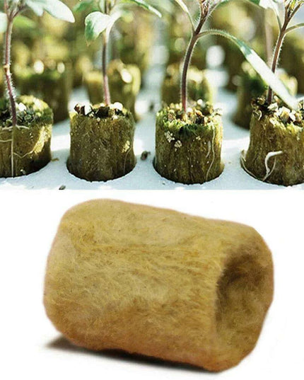 Hydroponic Seedling Growth Pods - Advanced Mineral Wool for Optimal Yield and Pest Control
