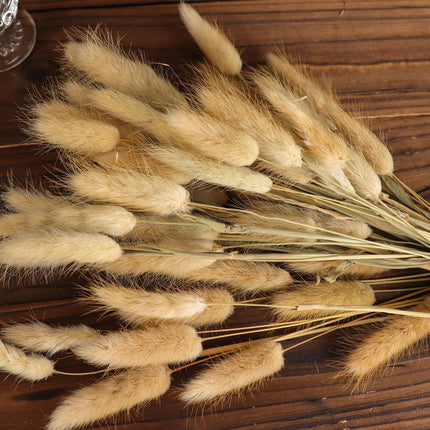AliKopy 50-Pack Dried Bunny Tail Grass - Rustic 15" Decorative Stems