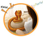 Realistic Python Pit Viper Plush Toy - Lifelike Cobra Stuffed Animal for Educational Play and Home Decor