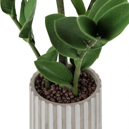 Room & Decor 20" Real Touch Zz Plant in Grey Cement Pot - Indoor Decor