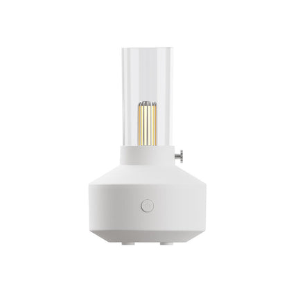 Peekaboo Studio Ultrasonic Humidifier & Aroma Diffuser with Night Ligh