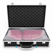 1 Butterfly Drone + 1 Basic Controller (+ Protective Flycase) / A