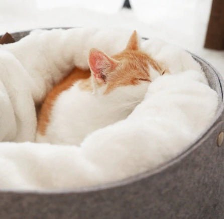 Peekaboo Studio Cozy Orthopedic Pet Bed with Waterproof Cover
