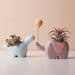 Chic Handcrafted Ceramic Succulent Pots: Elevate Your Balcony Oasis