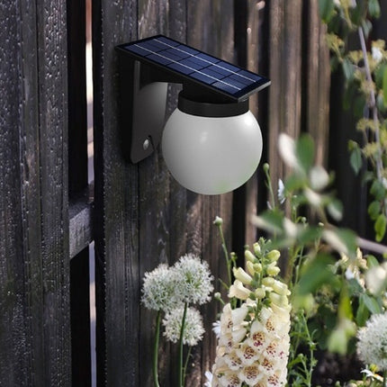 Peekaboo Studio Solar Outdoor Wall Lamp - Waterproof & Eco-Friendly