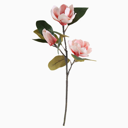Peekaboo Studio Simulated Magnolia Long Branch Floral Arrangement - Re