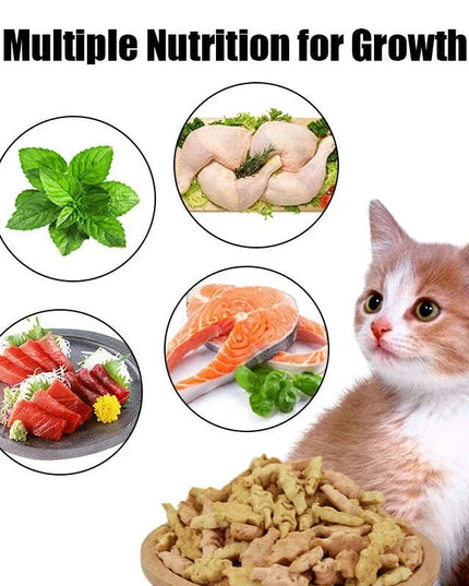 Cat Snack Pack - 80g