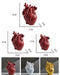 Anatomical Heart Artistry Resin Vase - Unique Home Accent Decor