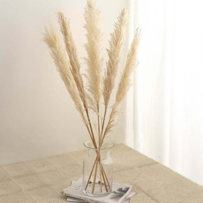 AliKopy 6 Stems Natural Dried Pampas Grass - 49" Tall Boho Decor
