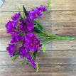 Violet Blue A Bunch