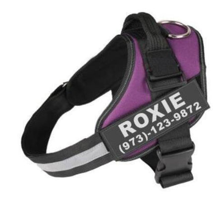 Peekaboo Studio Custom Reflective No-Pull Dog Harness, Adjustable Fit