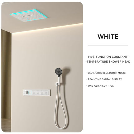 Maison Single-Person Hidden Shower System with Amb
