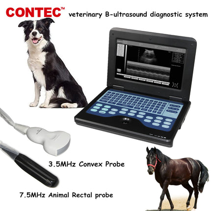 VET Veterinary Ultrasound Notebook With Rectal And Convex Probes CMS600P2VET