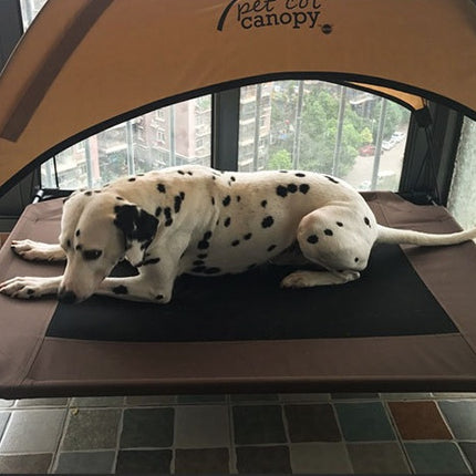 Peekaboo Studio Moisture-Proof Washable Dog Bed - Removable Oxford Clo