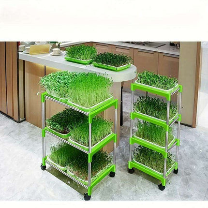 5-Pack Hydroponic Seed Germination Trays for Indoor & Outdoor Plant Growth (Lid-Free)