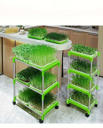 5-Pack Hydroponic Seed Germination Trays for Indoor & Outdoor Plant Growth (Lid-Free)