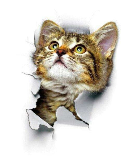 Exquisite 3D Cat Wall Decor Stickers: Elevate Your Home Aesthetics