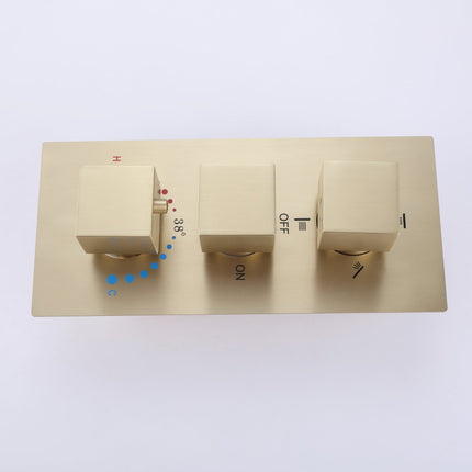 Hidden Luxury Shower System with Built-in Valve, Rainfall Show
