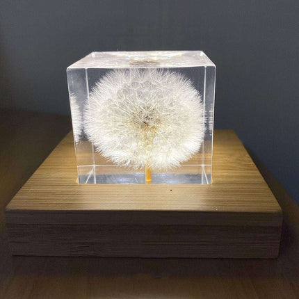 Dandelion Resin Cube with Wooden Base & USB Charger