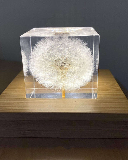 Dandelion Resin Cube with Wooden Base & USB Charger