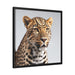 Eco-Friendly Tiger Canvas Wall Art with Modern Black Frame