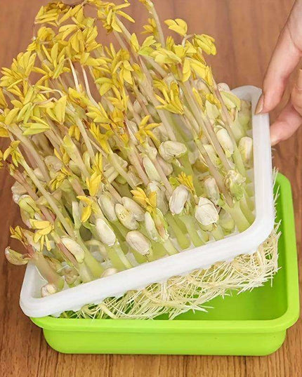 Soilless Hydroponic Seedling Germination Trays - 5-Pack for Indoor & Outdoor Cultivation