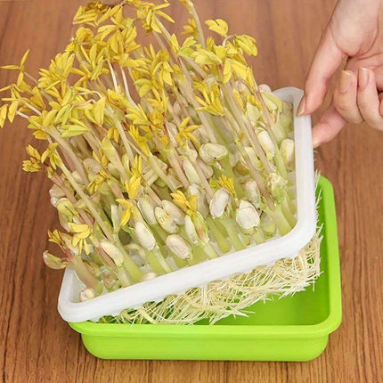 5-Pack Hydroponic Seed Germination Trays for Indoor & Outdoor Plant Growth (Lid-Free)