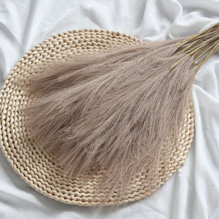 Peekaboo Studio 50cm Double Fork Pampas Artificial Flower - Realistic