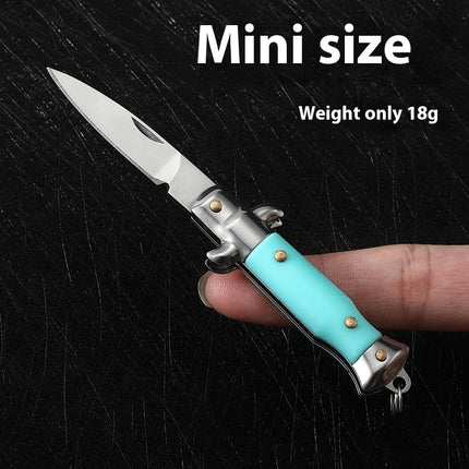 Compact Folding Knife with 440 Stainless Steel Blade and ABS Handle Keychain