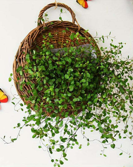 Rustic Blue Rattan Flower Wall Basket for Real or Faux Blooms