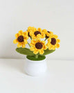 Daisy Yellow