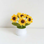 Daisy Yellow