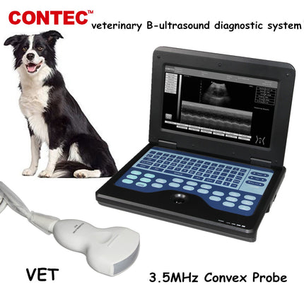 VET Veterinary Ultrasound Scanner Laptop With CMS600P2VET Convex Probe
