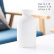 Large Round Bottle White