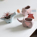 Elegant Ceramic Succulent Plant Pots: Handcrafted Beauty for Balcony Bliss