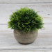 Serene Desktop Green Plastic Flower Bonsai