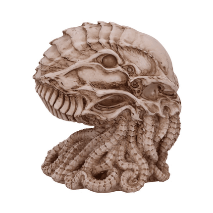 Gemstone Wonders: A Curated Collection of 43 Extraordinary Minerals