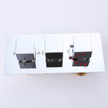 Hidden Luxury Shower System with Built-in Valve, Rainfall Show