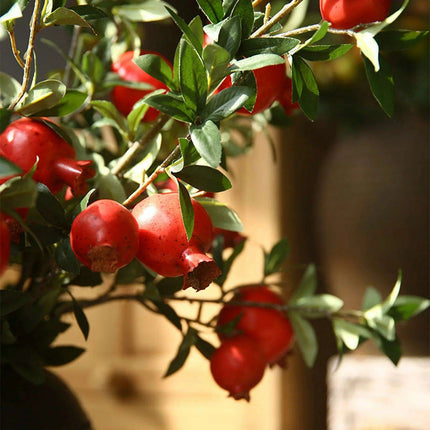 80cm Faux Pomegranate Bouquet - 6 Head Foam Fruit for Elegant Home and Event Decoration - Très Elite