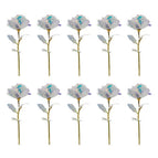 10 Colorful Roses In A Pack