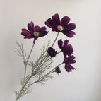 Dark Purple