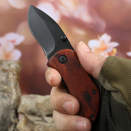 Portable Stainless Steel Folding Mini Fruit Knife Keychain