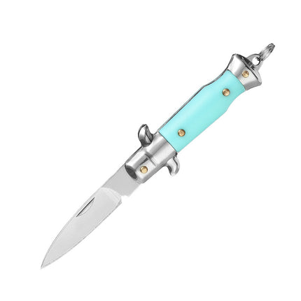 Compact Folding Knife with 440 Stainless Steel Blade and ABS Handle Keychain
