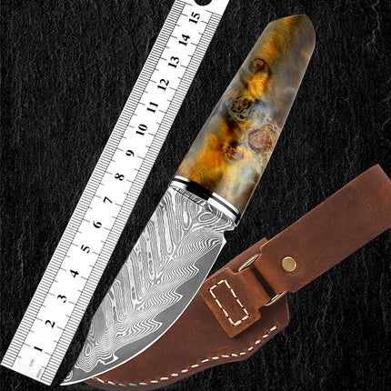 3.5 Inch Damascus Steel Fruit Hunting Knife Stabilized Wood Handle